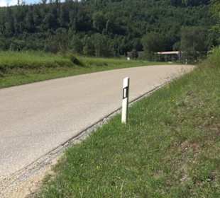 Wacholderheide Hoher Stein