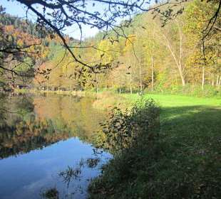 Der wunderschöne Helmbachweiher
