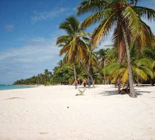 Strand Isla Saona