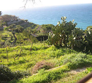 Wandern Costa de la Calma