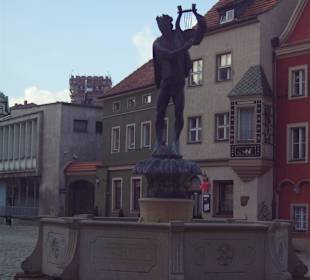 Apollo-Brunnen Posen - Altstadt