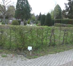 Friedhof Kehl