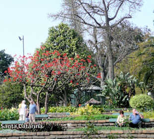 Funchal/Park Santa Caterina