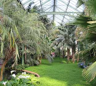 Tropenhaus