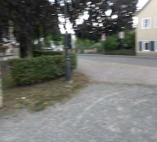 Gänswiese