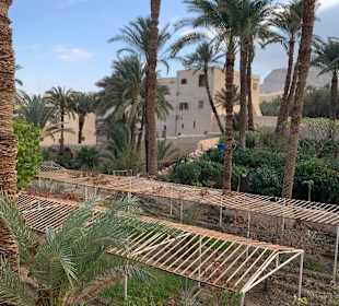 Shahin Tours Hurghada