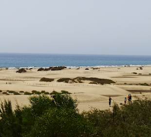 Dünen von Maspalomas