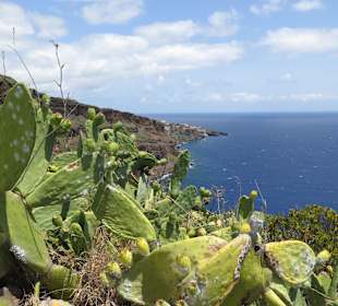 Blick von der Chistusstatue Richtung Caniço