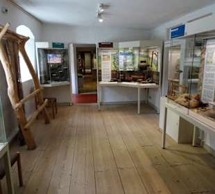 In der Abteilung Stein- und Bronzezeit