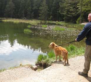 Möserer See, immer wieder ein Erlebnis