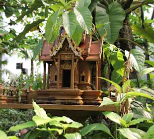 Wunderschöne Gestaltung