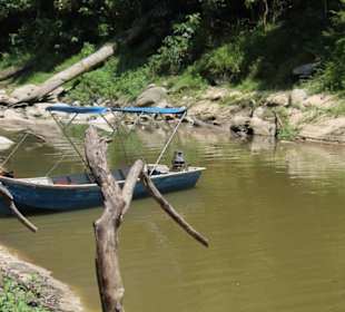 Dschungel- und Bootstour