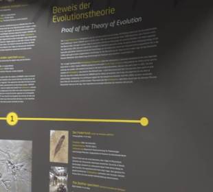 Dinosaurier Museum Altmühltal