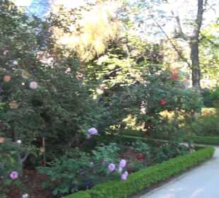 Real Jardín Botánico de Madrid