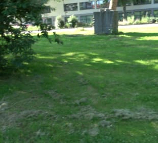 Seegarten-Anlage / Kurfürsten-Anlage