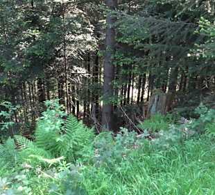 Teufelskanzelsteig Bad Griesbach