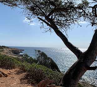 Strand Cala Millor