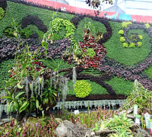 Stadtrundgang Sydney