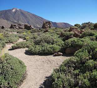 Teide
