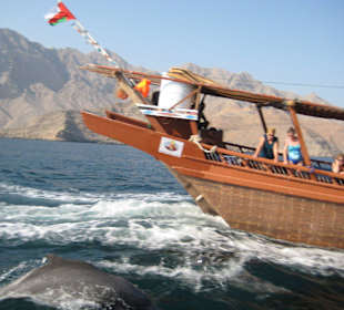 Ausflug nach Musandam