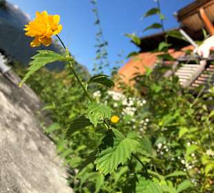 Wandern Sluderno / Schluderns