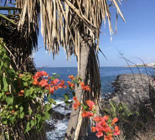 Playa de la Pinta / San Eugenio