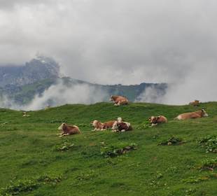 Wandern Hermagor - Pressegger See