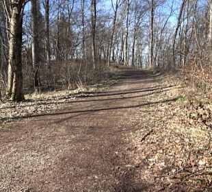 Bolberghütte Willmandingen