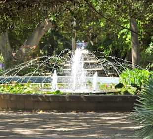 Rundgang durch den Botanischen Garten Cagliari