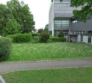 Stadtrundgang Balingen