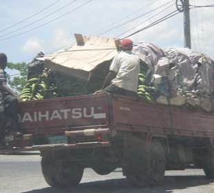 ein Auto  voller Bananen
