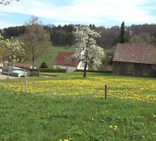 Barbarakirche Apfelstetten