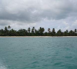 Saona