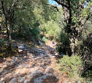 Steiler Weg 
