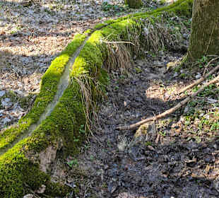 Die Rinne