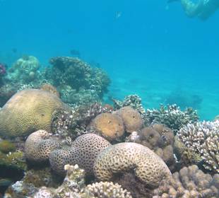 Mini rafa koło pomstu