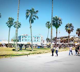 Venice Beach
