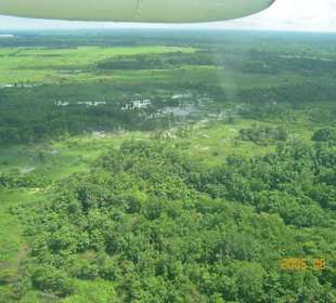 Orinoco Delta