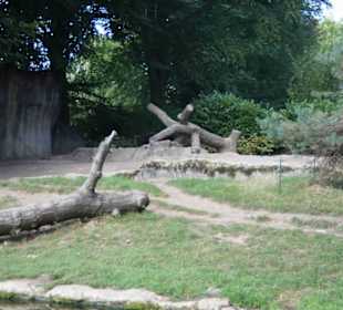 Tierpark Hagenbeck