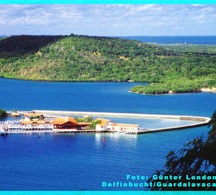 Delfinbucht/Guardalavaca