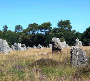 Hinkelstein-Feld Carnac