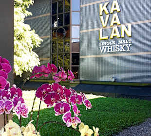 Kavalan Whisky Distillery 