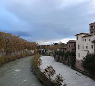 The late autumn colors
