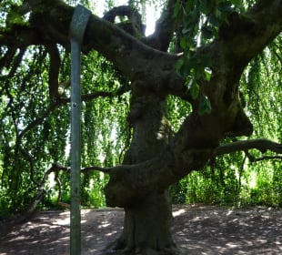 Höhenpark Killesberg