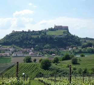 Blick vom Weingut Wippel