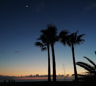 Strand Puerto de Santiago