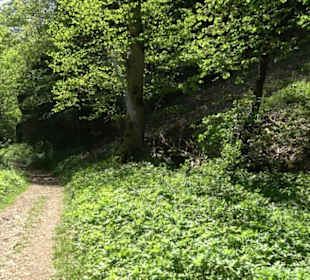 Premiumwanderweg Hochgehschätzt