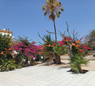 Wandern Kokkini Hani