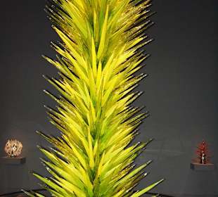 Dave Chihuly Design