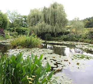 Giverny - ogród Moneta